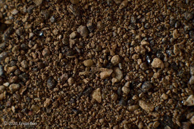 Duitsland, Perlerkopf, Oberdrenbach